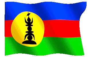 newcalflag